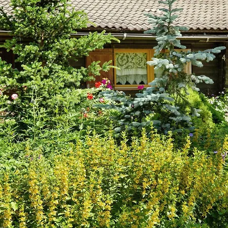 Orserose 1 La Bilancia Alpstuga